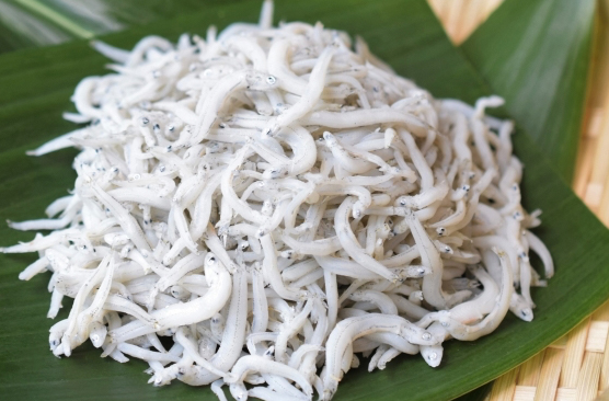 鮮魚