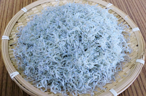 鮮魚